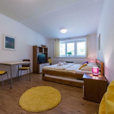 Apartmán Lipno 20 Lipno nad Vltavou Exteriér fotografie
