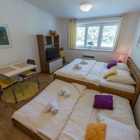 Apartmán Lipno 20 Lipno nad Vltavou Exteriér fotografie