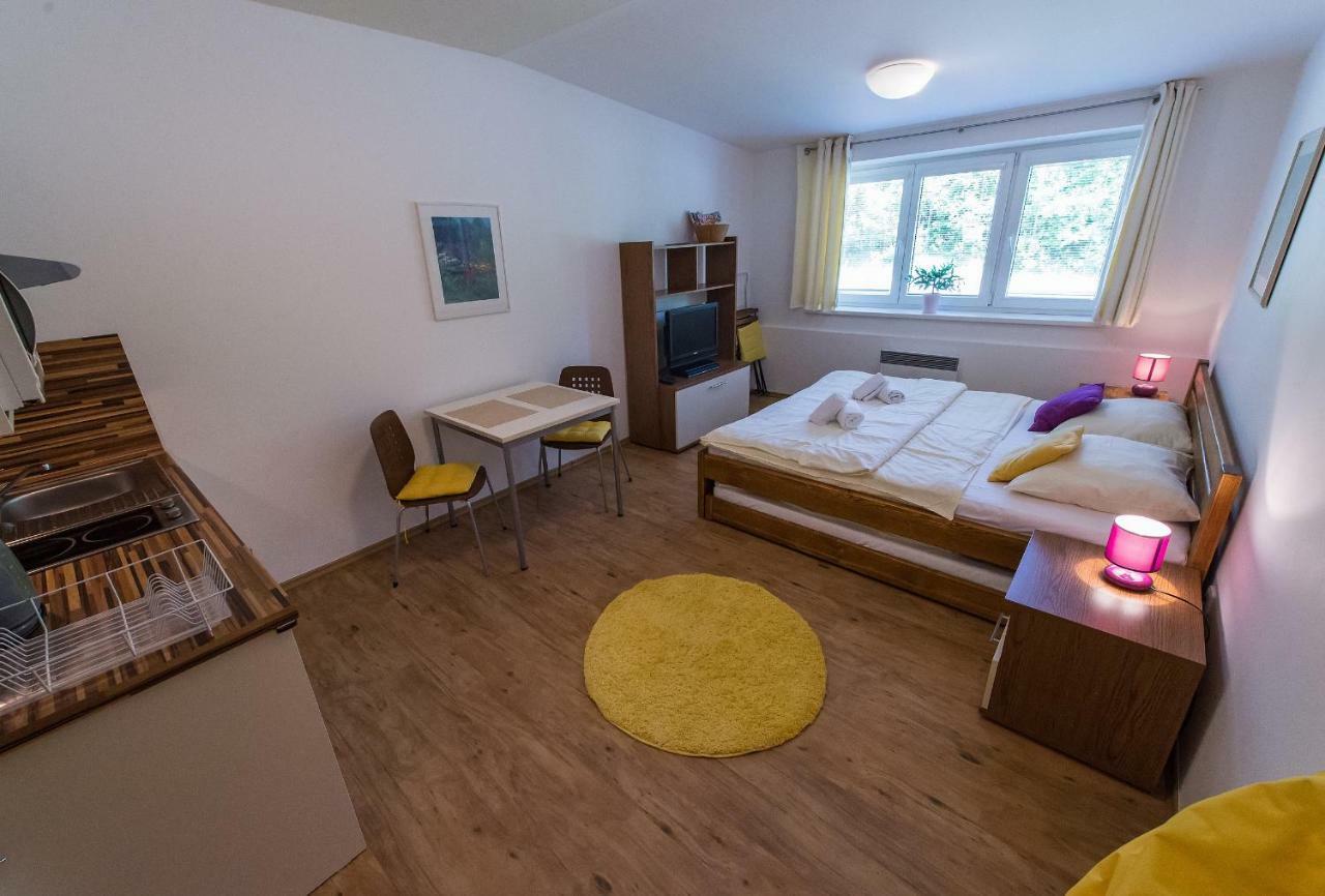 Apartmán Lipno 20 Lipno nad Vltavou Exteriér fotografie