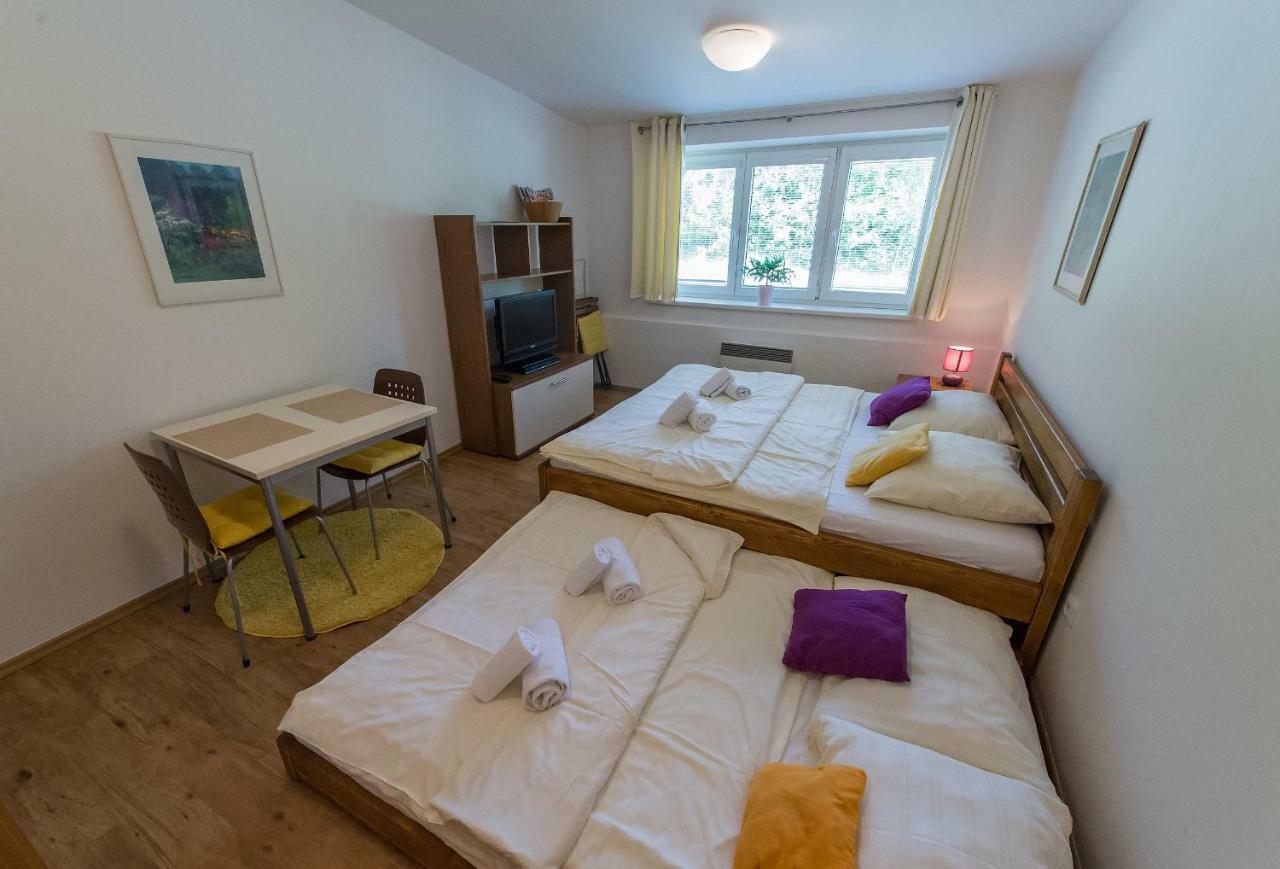 Apartmán Lipno 20 Lipno nad Vltavou Exteriér fotografie